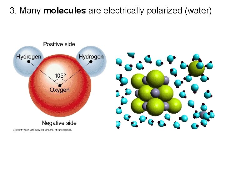 3. Many molecules are electrically polarized (water) 