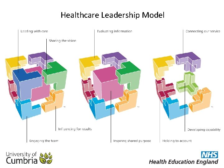 Healthcare Leadership Model 