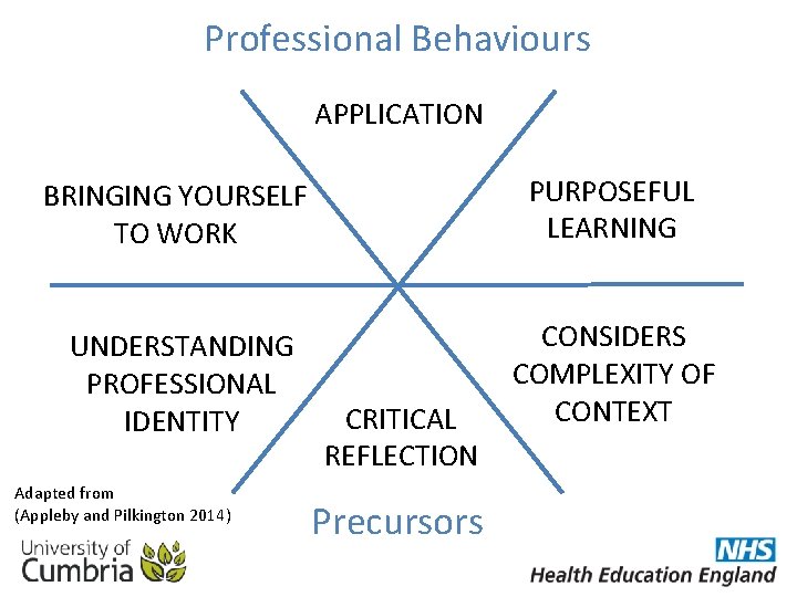 Professional Behaviours APPLICATION BRINGING YOURSELF TO WORK PURPOSEFUL LEARNING UNDERSTANDING PROFESSIONAL IDENTITY CONSIDERS COMPLEXITY