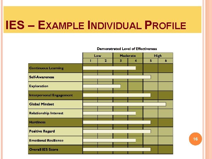 IES – EXAMPLE INDIVIDUAL PROFILE 16 