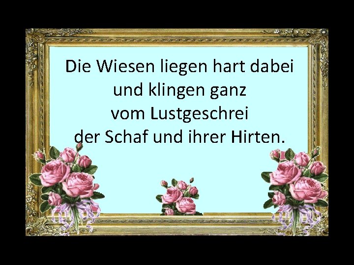 Die Wiesen liegen hart dabei und klingen ganz vom Lustgeschrei der Schaf und ihrer