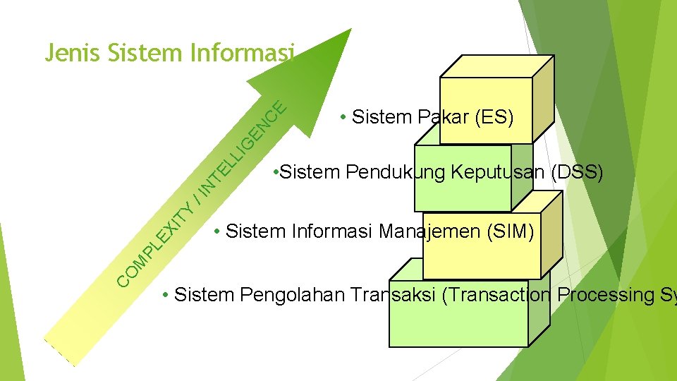  • Sistem Pakar (ES) • Sistem Pendukung Keputusan (DSS) • Sistem Informasi Manajemen