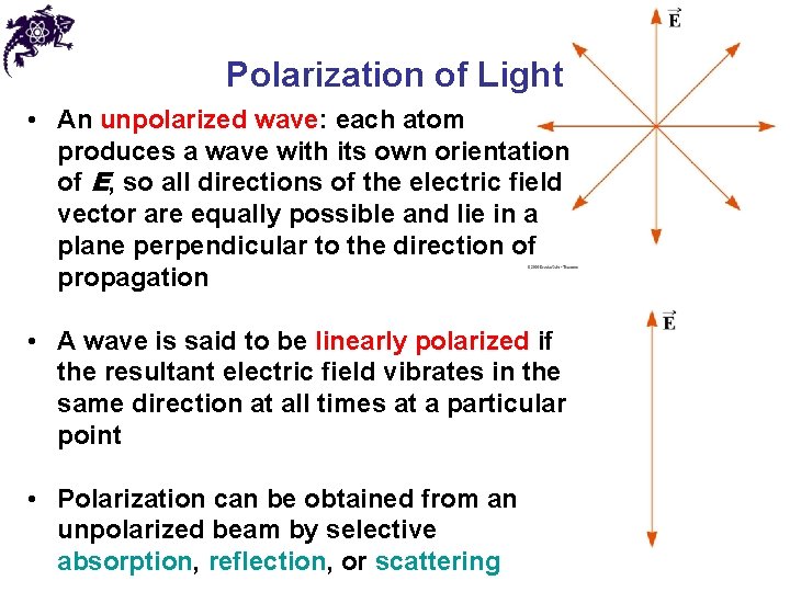 Polarization of Light • An unpolarized wave: each atom produces a wave with its