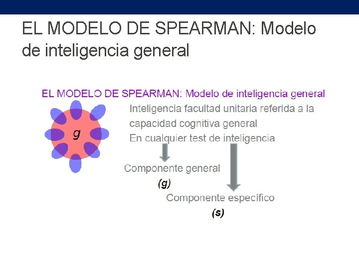 EL MODELO DE SPEARMAN: Modelo de inteligencia general 