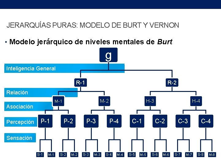 JERARQUÍAS PURAS: MODELO DE BURT Y VERNON • Modelo jerárquico de niveles mentales de