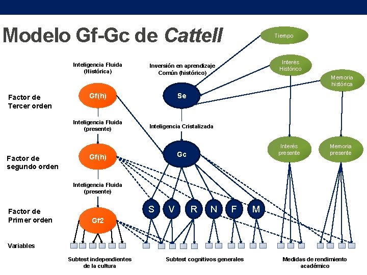 Modelo Gf-Gc de Cattell Factor de Tercer orden Factor de segundo orden Inteligencia Fluida