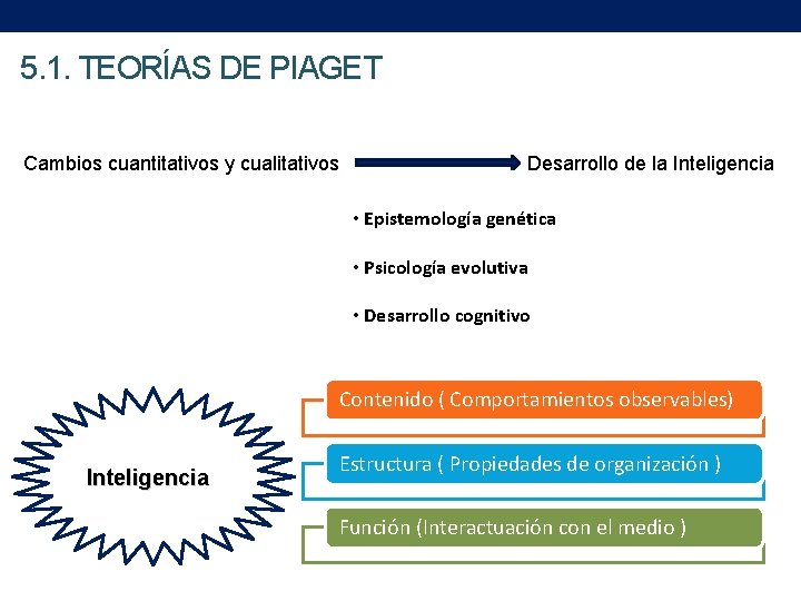 5. 1. TEORÍAS DE PIAGET Cambios cuantitativos y cualitativos Desarrollo de la Inteligencia •