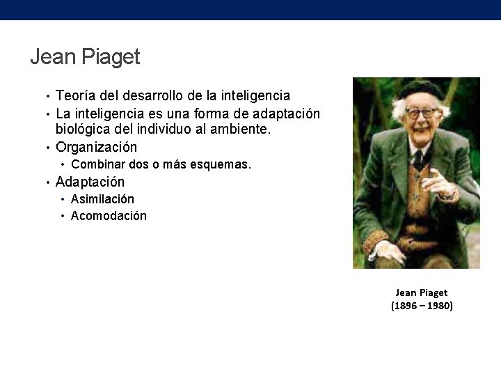 Jean Piaget • Teoría del desarrollo de la inteligencia • La inteligencia es una