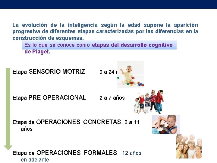 La evolución de la inteligencia según la edad supone la aparición progresiva de diferentes