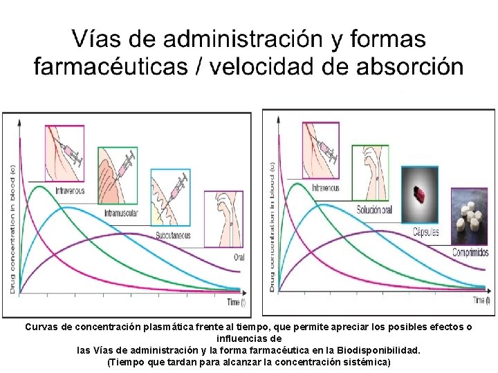 FARMACOCINETICA Curvas de concentración plasmática frente al tiempo, que permite apreciar los posibles efectos