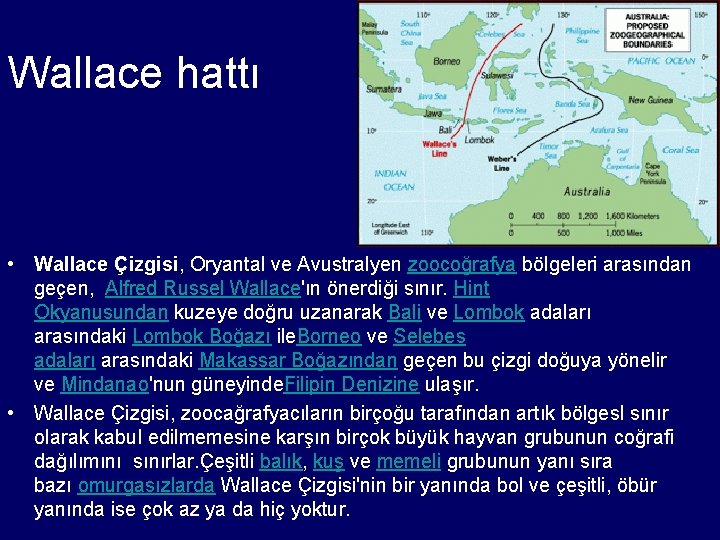 Wallace hattı • Wallace Çizgisi, Oryantal ve Avustralyen zoocoğrafya bölgeleri arasından geçen, Alfred Russel