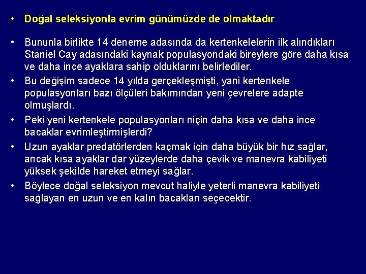  • Doğal seleksiyonla evrim günümüzde de olmaktadır • Bununla birlikte 14 deneme adasında