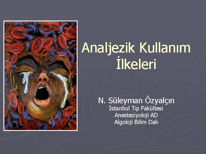 Analjezik Kullanım İlkeleri N. Süleyman Özyalçın İstanbul Tıp Fakültesi Anesteziyoloji AD Algoloji Bilim Dalı