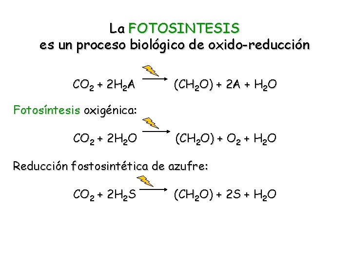 La FOTOSINTESIS es un proceso biológico de oxido-reducción CO 2 + 2 H 2