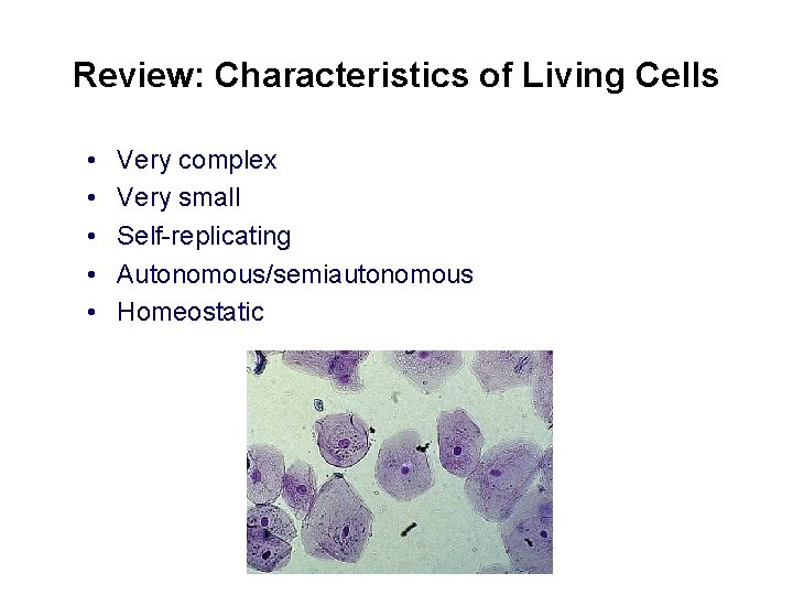 Review: Characteristics of Living Cells • • • Very complex Very small Self-replicating Autonomous/semiautonomous Review: Characteristics of Living Cells • • • Very complex Very small Self-replicating Autonomous/semiautonomous