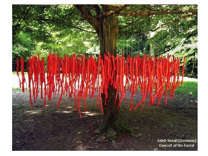 Salah Saouli (Germany) Concert of the Forest 