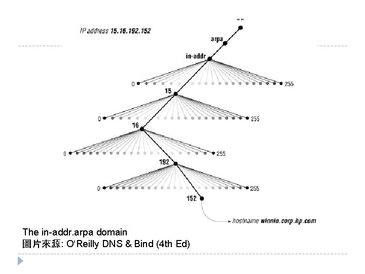 The in-addr. arpa domain 圖片來源: O‘Reilly DNS & Bind (4 th Ed) The in-addr. arpa domain 圖片來源: O‘Reilly DNS & Bind (4 th Ed)