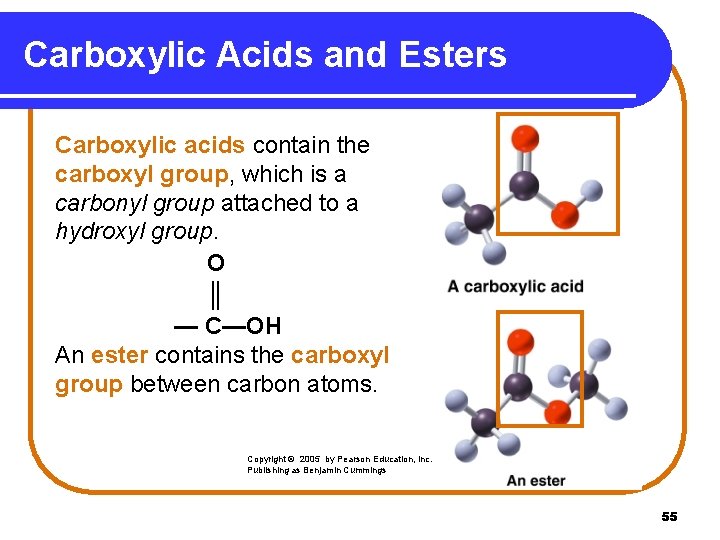 Carboxylic Acids and Esters Carboxylic acids contain the carboxyl group, which is a carbonyl