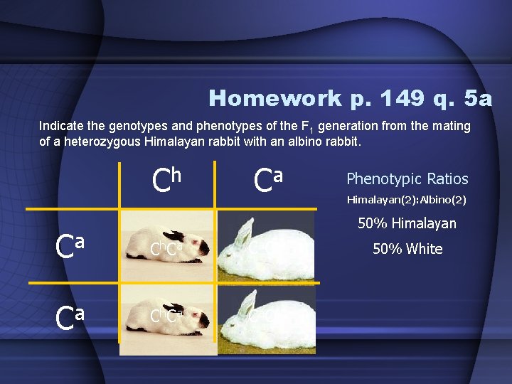 Homework p. 149 q. 5 a Indicate the genotypes and phenotypes of the F