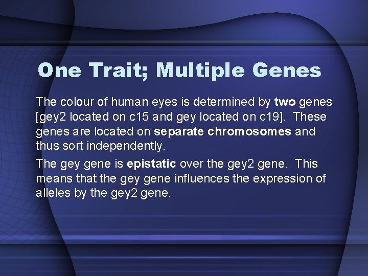 One Trait; Multiple Genes The colour of human eyes is determined by two genes