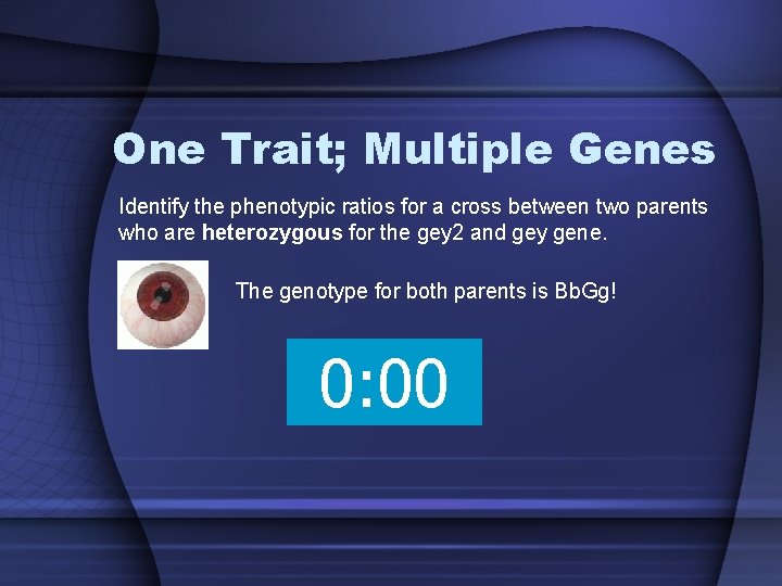 One Trait; Multiple Genes Identify the phenotypic ratios for a cross between two parents