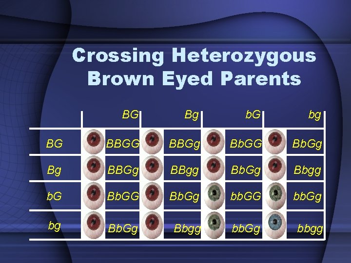Crossing Heterozygous Brown Eyed Parents BG Bg b. G bg BG BBGg Bb. GG