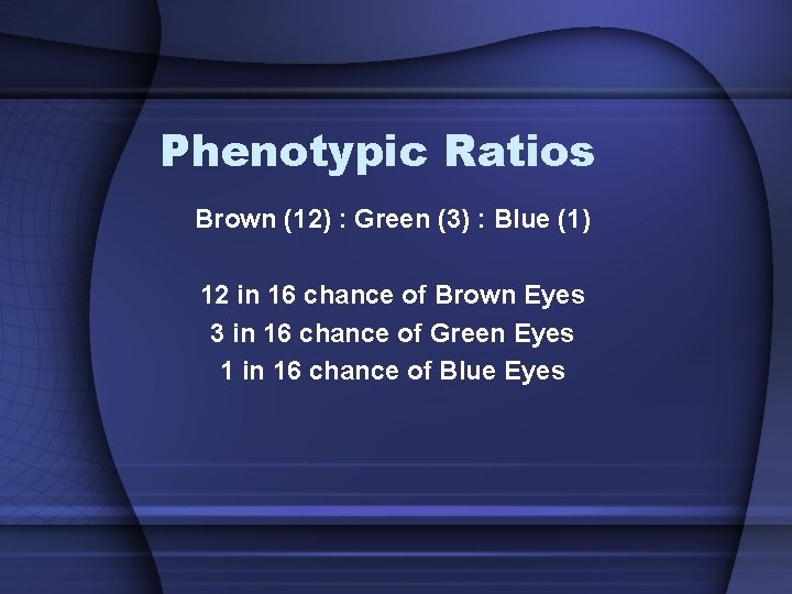 Phenotypic Ratios Brown (12) : Green (3) : Blue (1) 12 in 16 chance