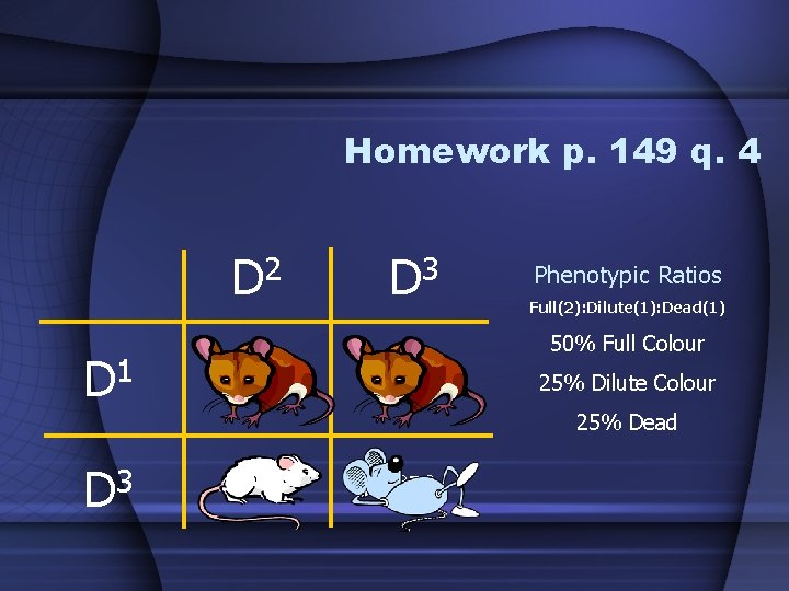 Homework p. 149 q. 4 D 2 D 1 D 3 Phenotypic Ratios Full(2):