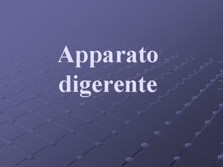 Apparato digerente 