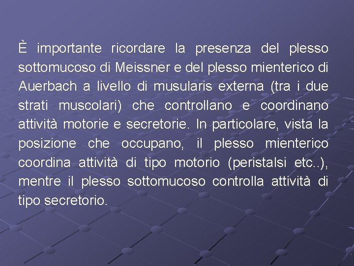 È importante ricordare la presenza del plesso sottomucoso di Meissner e del plesso mienterico