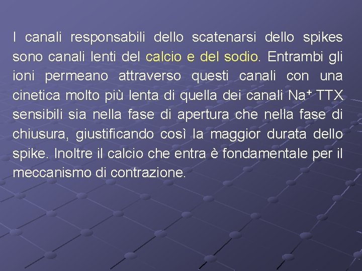 I canali responsabili dello scatenarsi dello spikes sono canali lenti del calcio e del