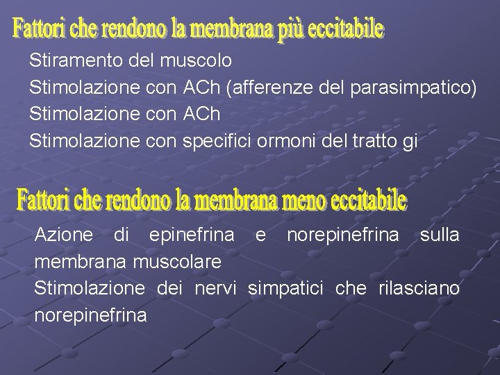 Stiramento del muscolo Stimolazione con ACh (afferenze del parasimpatico) Stimolazione con ACh Stimolazione con