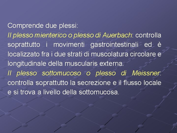 Comprende due plessi: Il plesso mienterico o plesso di Auerbach: controlla soprattutto i movimenti