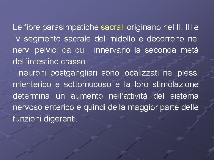 Le fibre parasimpatiche sacrali originano nel II, III e IV segmento sacrale del midollo