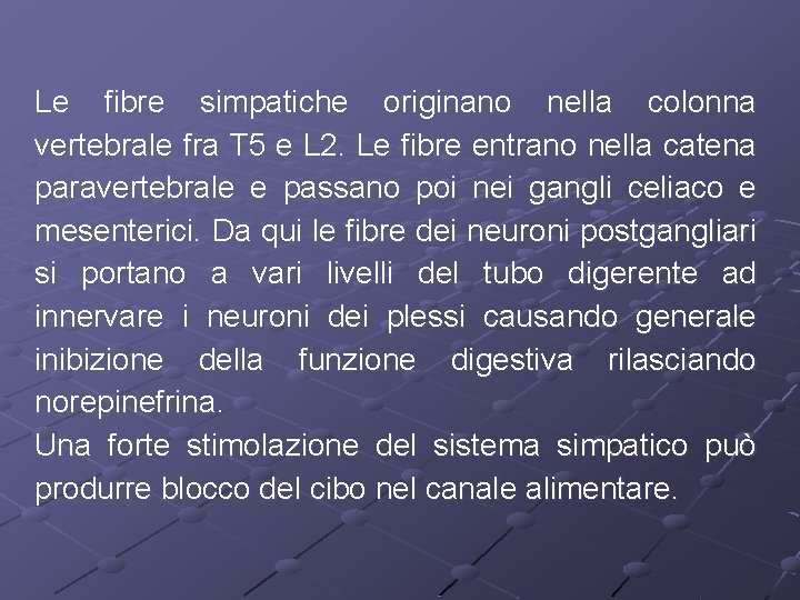 Le fibre simpatiche originano nella colonna vertebrale fra T 5 e L 2. Le