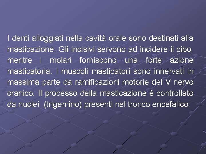 I denti alloggiati nella cavità orale sono destinati alla masticazione. Gli incisivi servono ad