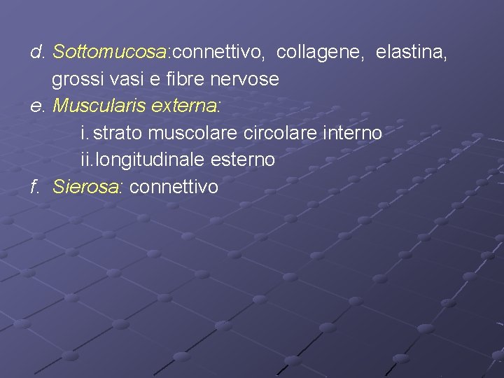 d. Sottomucosa: connettivo, collagene, elastina, grossi vasi e fibre nervose e. Muscularis externa: i.