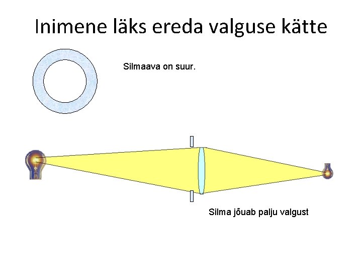 Inimene läks ereda valguse kätte Silmaava on suur. Silma jõuab palju valgust 