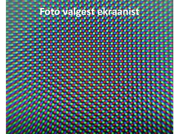 Foto valgest ekraanist Enn Pärtel 