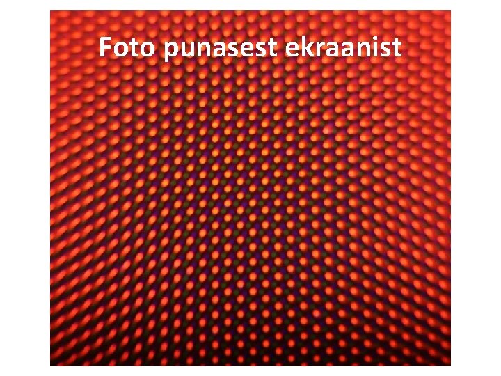 Foto punasest ekraanist Enn Pärtel 