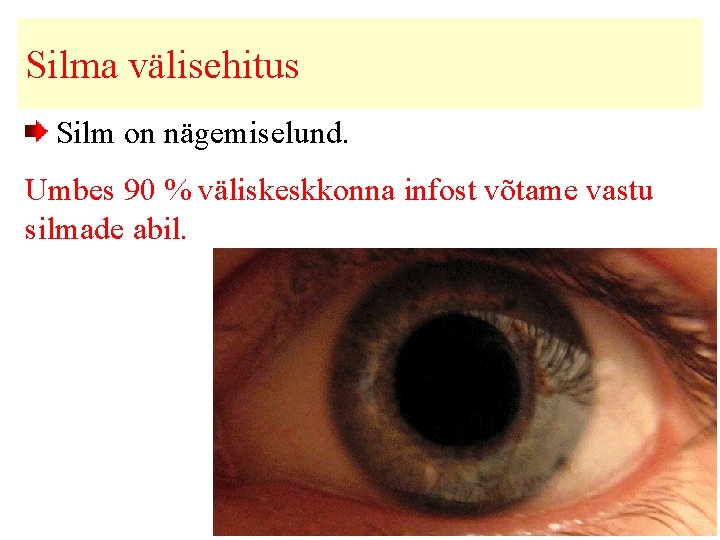 Silma välisehitus Silm on nägemiselund. Umbes 90 % väliskeskkonna infost võtame vastu silmade abil.