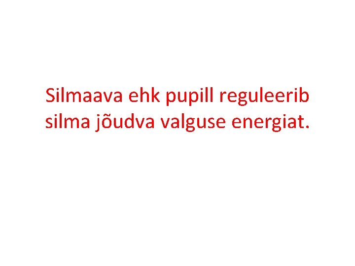 Silmaava ehk pupill reguleerib silma jõudva valguse energiat. 
