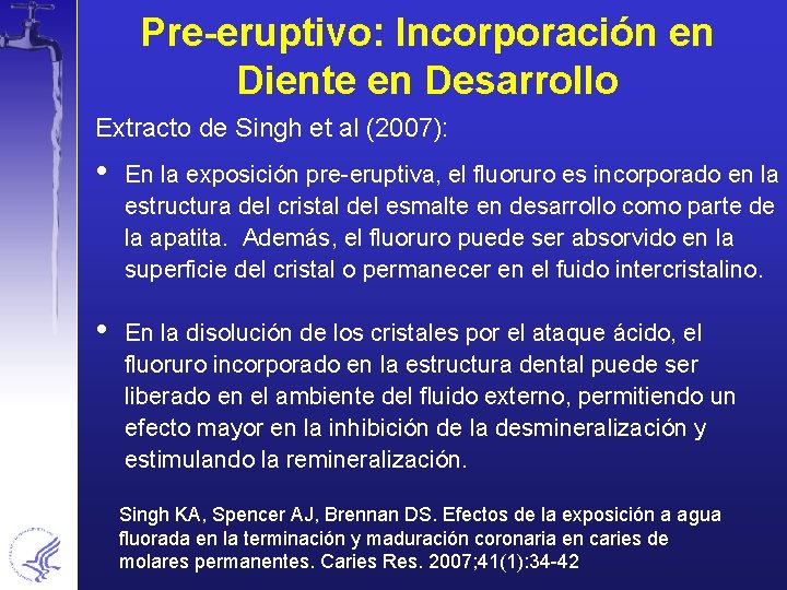 Pre-eruptivo: Incorporación en Diente en Desarrollo Extracto de Singh et al (2007): • En