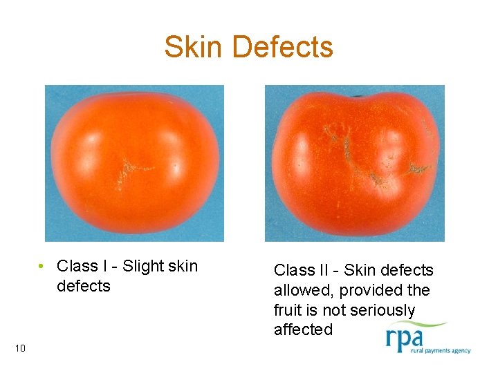 Skin Defects • Class I - Slight skin defects 10 Class II - Skin