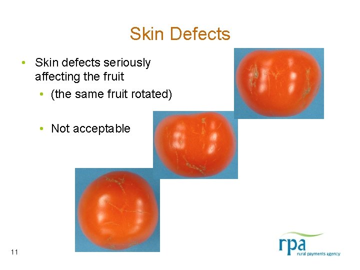 Skin Defects • Skin defects seriously affecting the fruit • (the same fruit rotated)