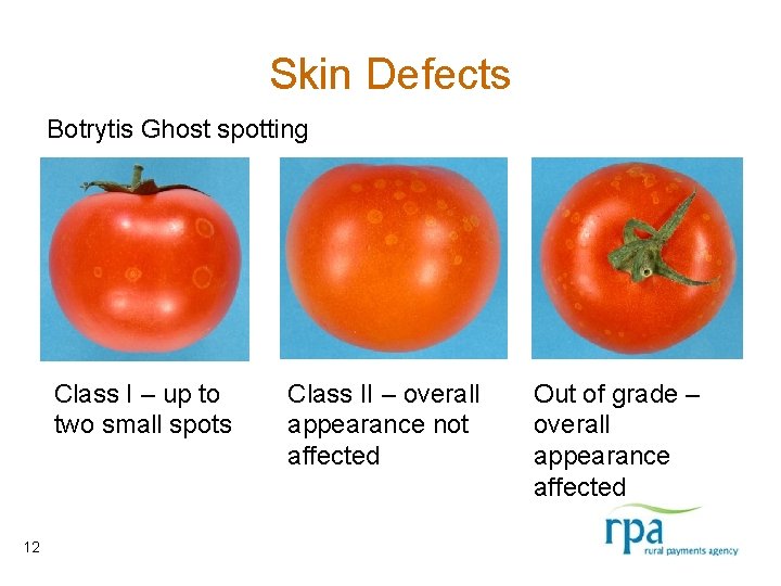 Skin Defects Botrytis Ghost spotting Class I – up to two small spots 12