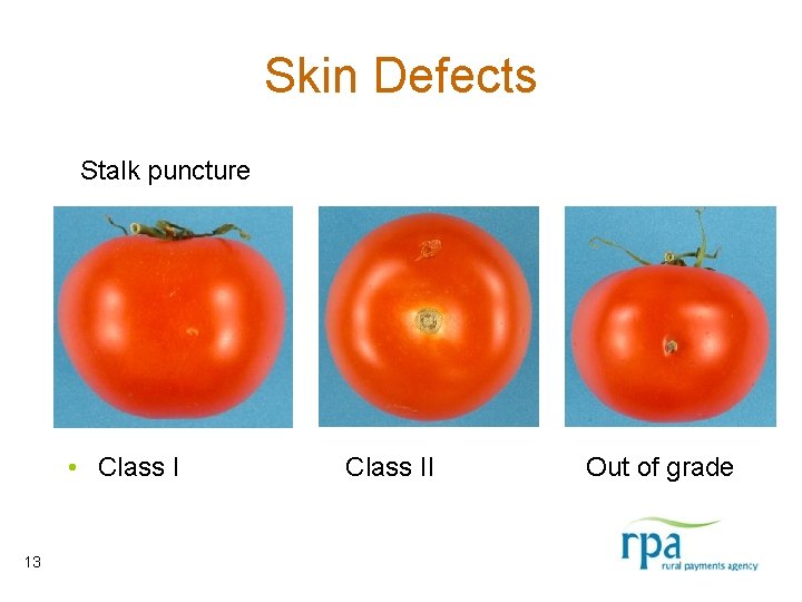Skin Defects Stalk puncture • Class I 13 Class II Out of grade 
