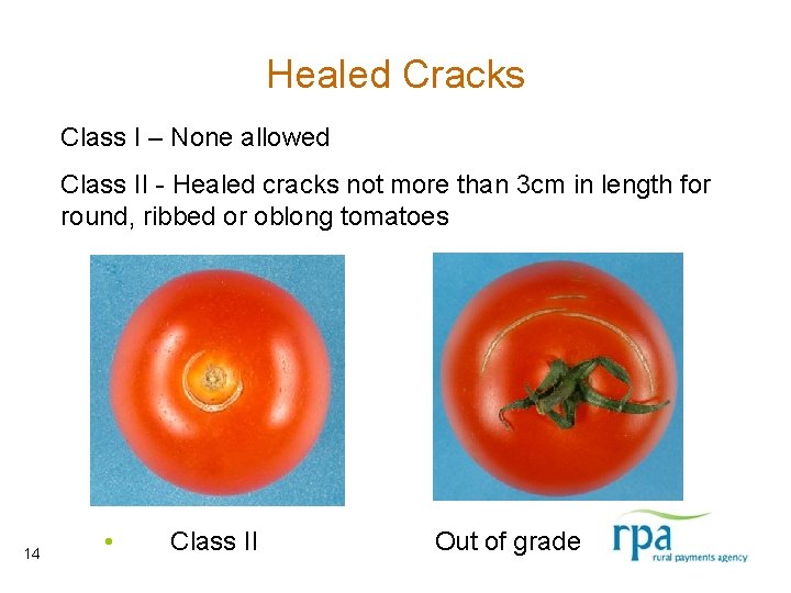 Healed Cracks Class I – None allowed Class II - Healed cracks not more