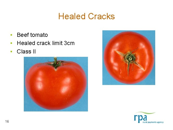 Healed Cracks • Beef tomato • Healed crack limit 3 cm • Class II