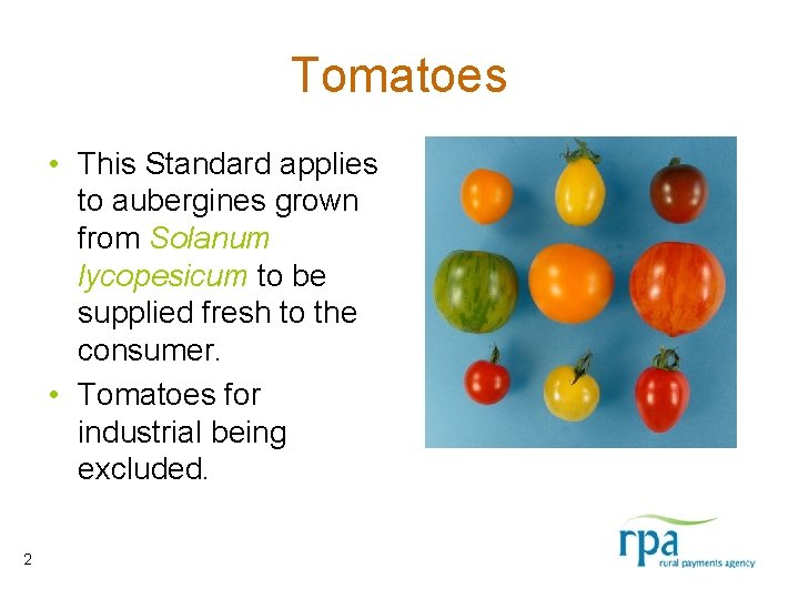 Tomatoes • This Standard applies to aubergines grown from Solanum lycopesicum to be supplied